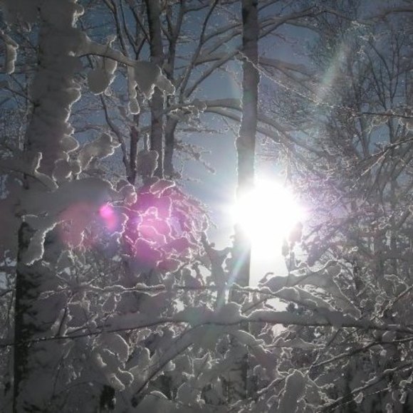 Meet your Posher, Emily - Picture 1 of 1